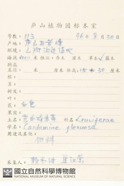 Small-leaved bittercress Collection Image, Figure 2, Total 3 Figures