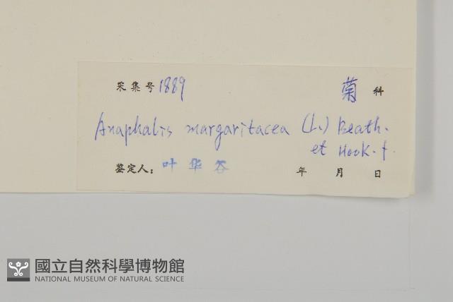 抱莖籟簫藏品圖，第3張