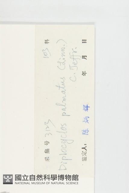 雙輪瓜藏品圖，第3張