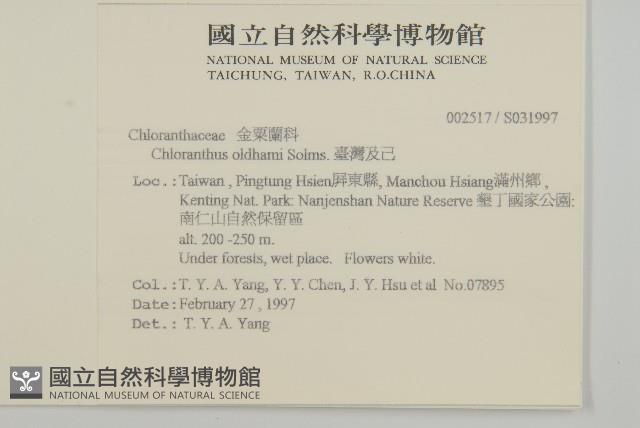 臺灣及己藏品圖，第2張