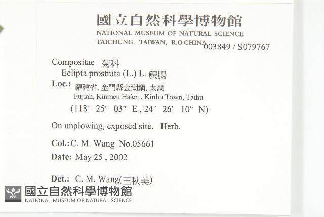 鱧腸藏品圖，第2張