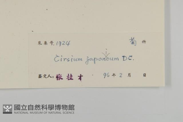 小薊藏品圖，第3張