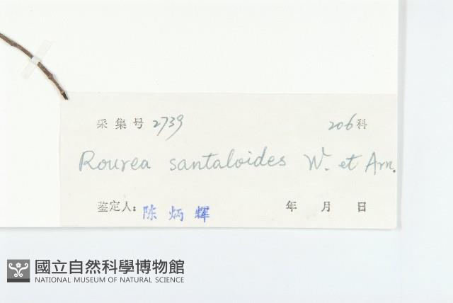 登錄號:S029567藏品圖，第3張