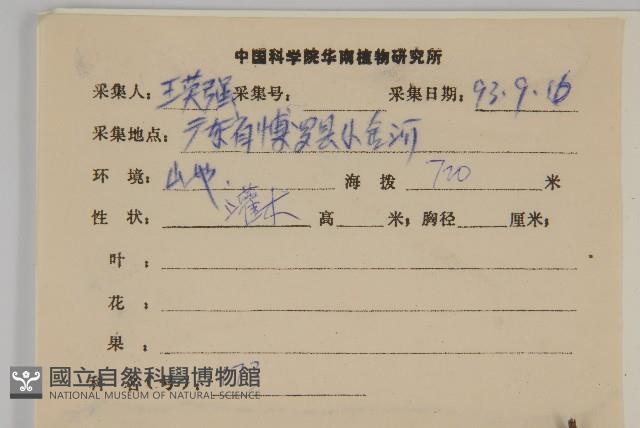 福建賽衛矛、福建假衛矛藏品圖，第2張