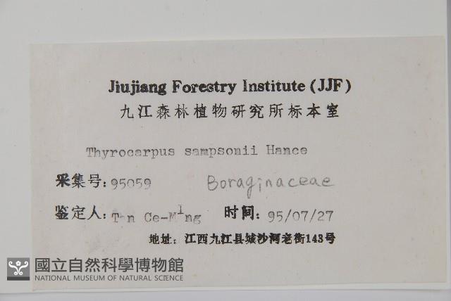 盾果草藏品圖，第2張