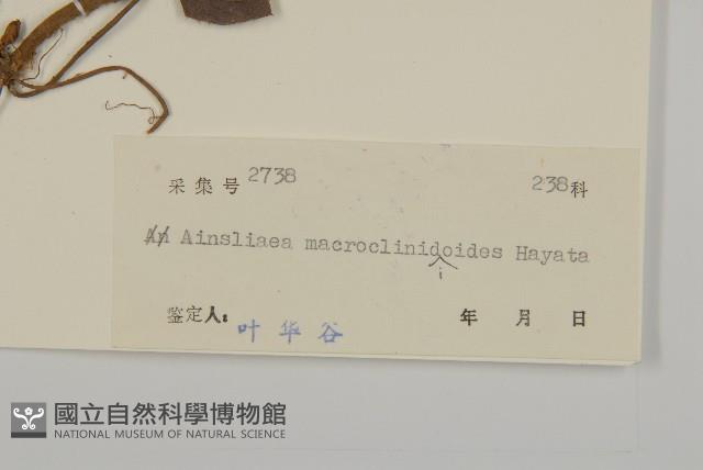 阿里山鬼督郵藏品圖，第3張