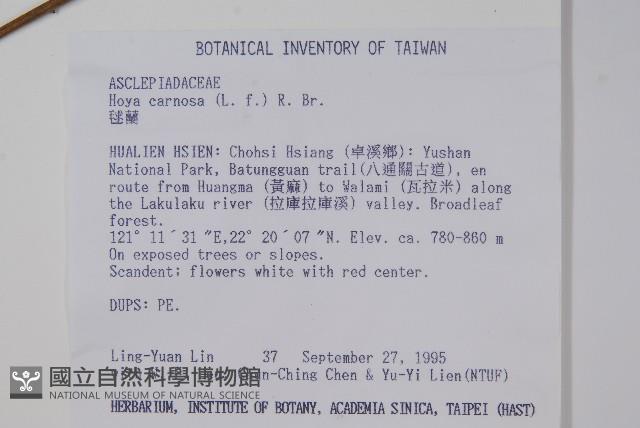 毬蘭藏品圖，第2張