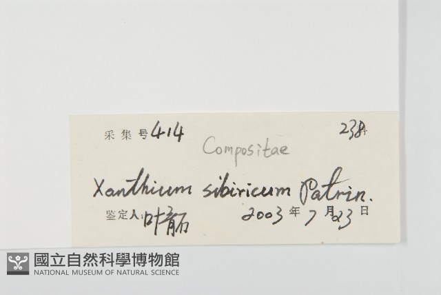 蒼耳藏品圖，第3張
