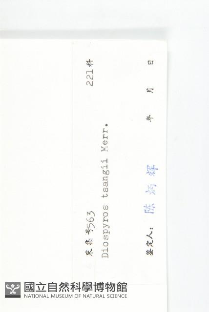 延平柿藏品圖，第3張