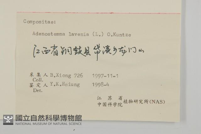 下田菊藏品圖，第3張