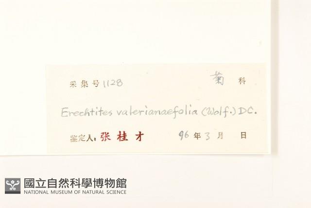 Accession Number:S040987 Collection Image, Figure 3, Total 3 Figures