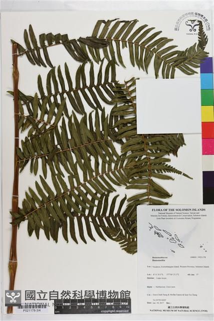 登錄號:P021178藏品圖，第3張