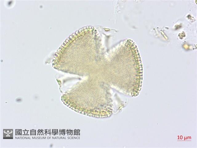 登錄號:S093624藏品圖，第3張