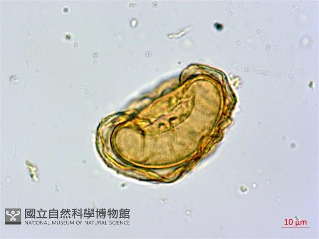 Accession Number:P011959 Collection Image, Figure 4, Total 8 Figures