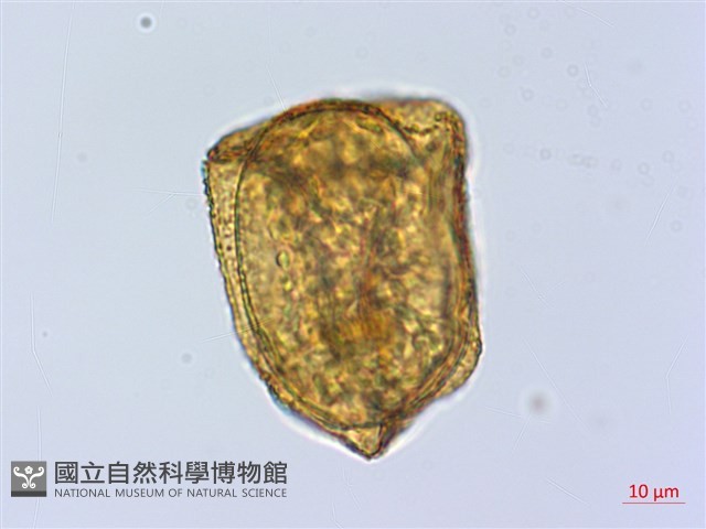 登錄號:P019418藏品圖，第3張
