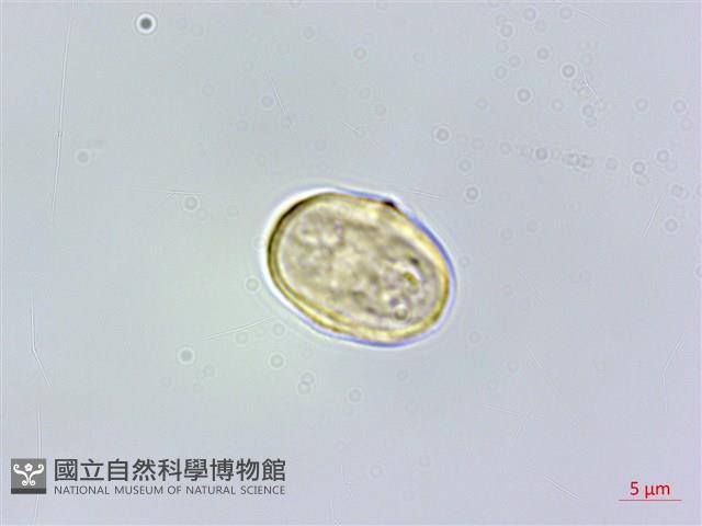 登錄號:S006573藏品圖，第3張