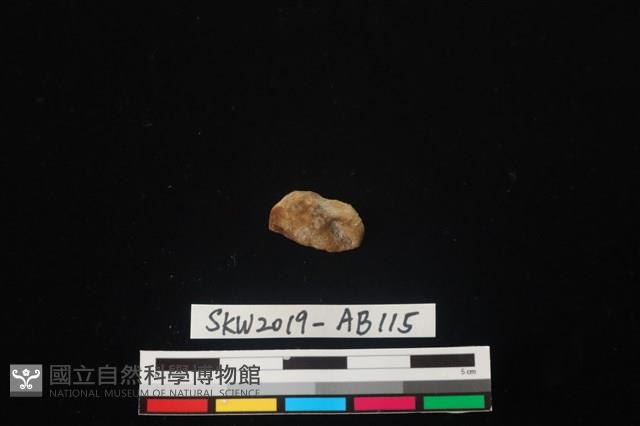 獸骨藏品圖，第6張