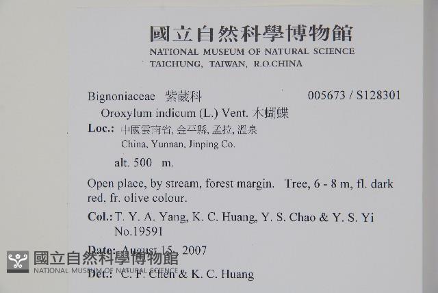 木蝴蝶藏品圖，第9張