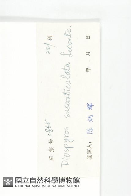 五指山柿藏品圖，第6張