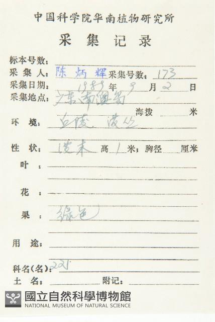 山紅柿藏品圖，第5張