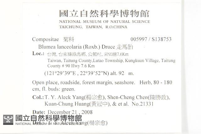 走馬胎藏品圖，第6張