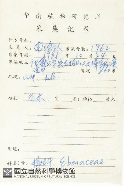 山紅柿藏品圖，第5張