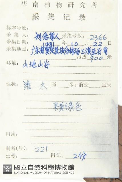 山紅柿藏品圖，第5張