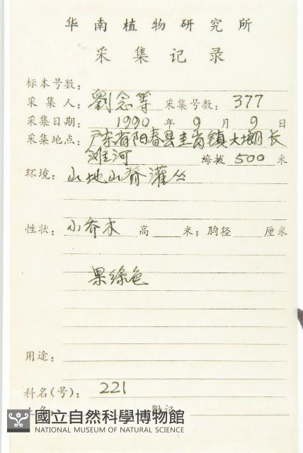 山紅柿藏品圖，第5張