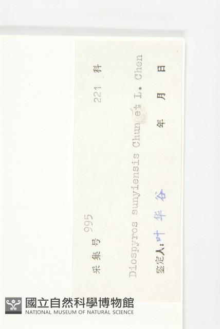 信宜柿藏品圖，第6張