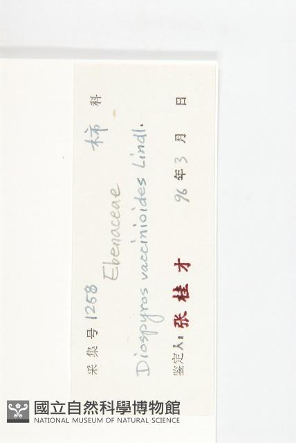 楓港柿藏品圖，第6張