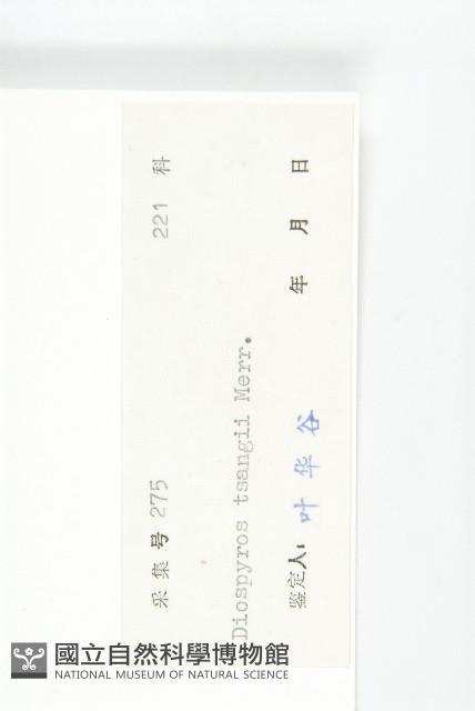 延平柿藏品圖，第6張