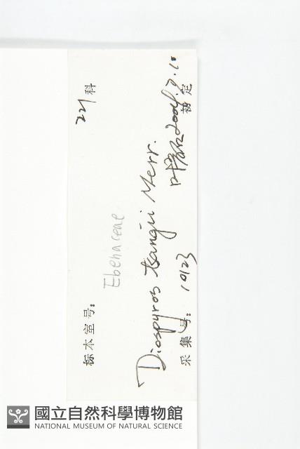 延平柿藏品圖，第6張