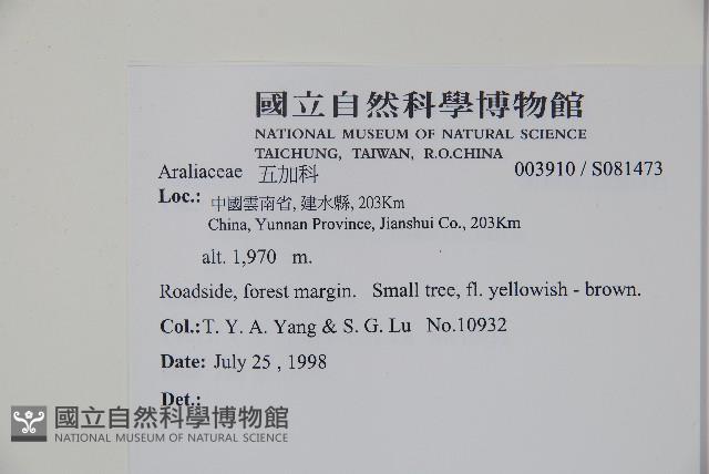 登錄號:S081473藏品圖，第6張