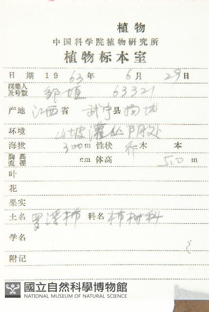 山紅柿藏品圖，第5張