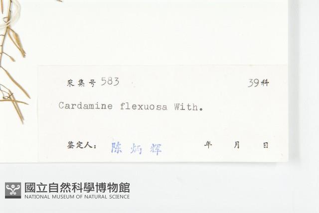 焊菜藏品圖，第3張