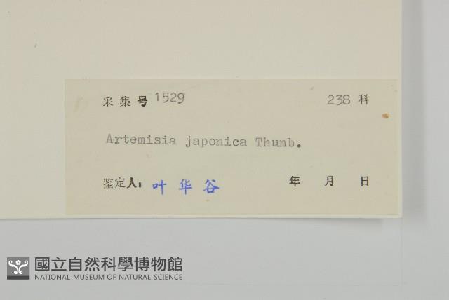 牡蒿藏品圖，第3張