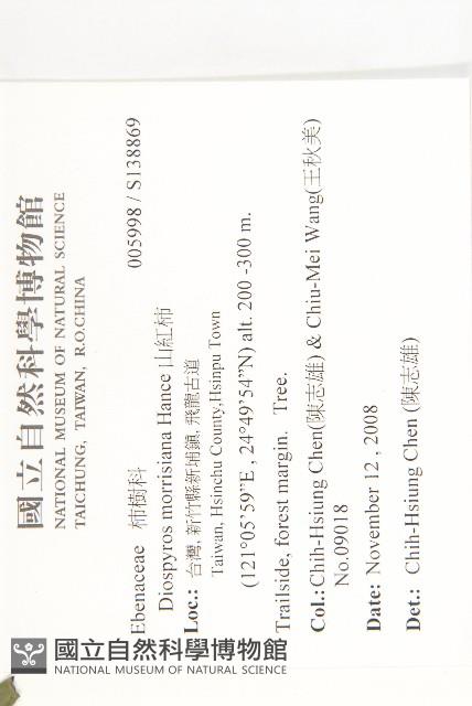 山紅柿藏品圖，第4張