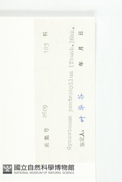 絞股藍藏品圖，第3張