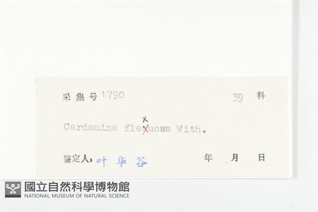 焊菜藏品圖，第3張