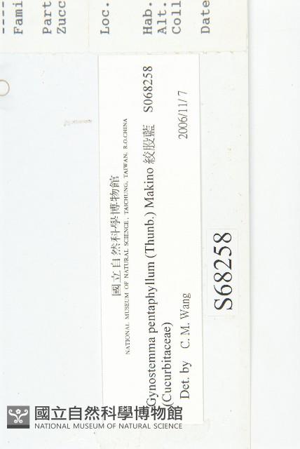 絞股藍藏品圖，第3張