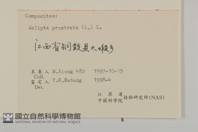 鱧腸藏品圖，第3張