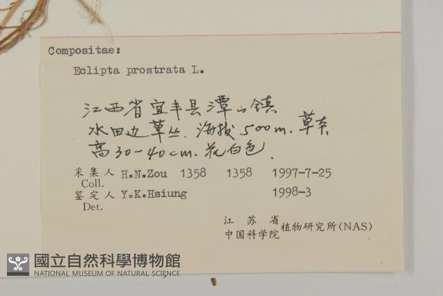 鱧腸藏品圖，第3張