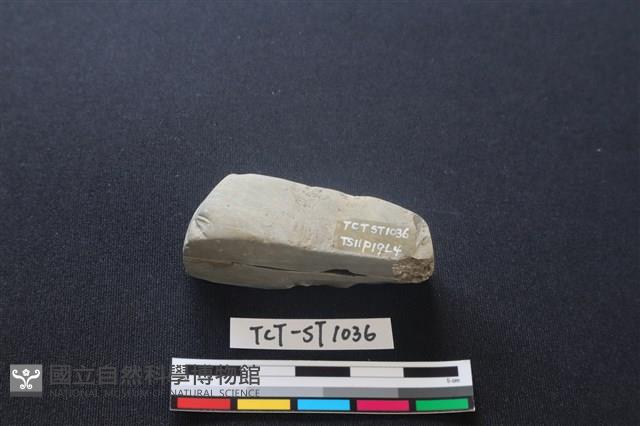 錛鑿形器藏品圖，第4張