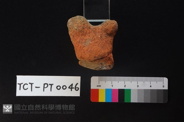 陶蓋鈕藏品圖，第4張