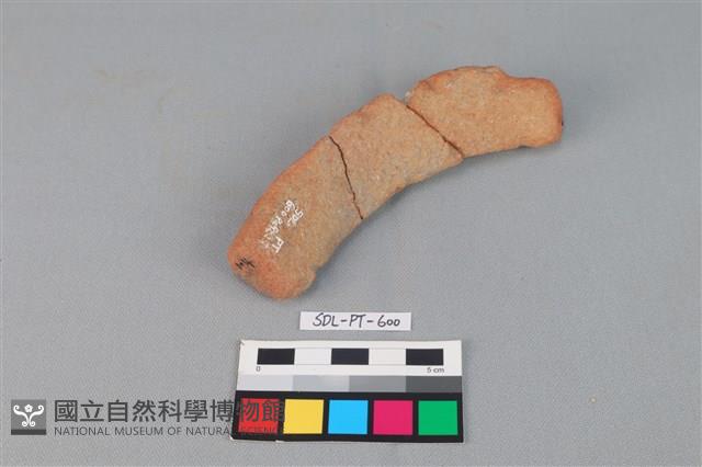 陶網墜藏品圖，第4張