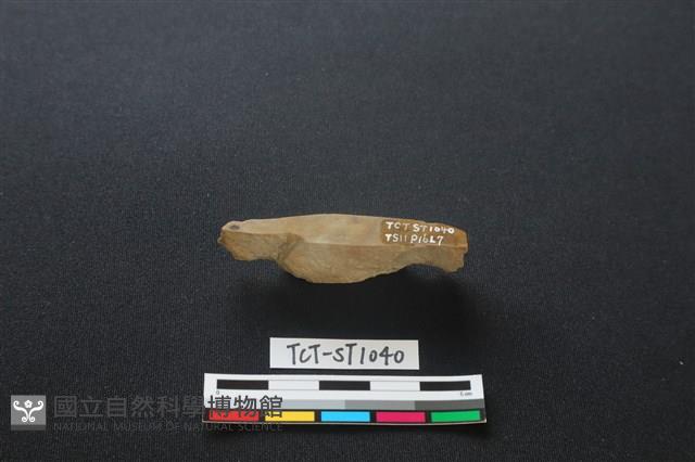 錛鑿形器藏品圖，第4張