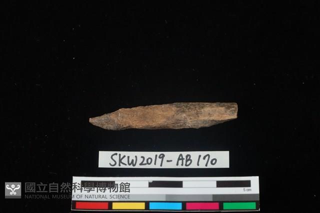 獸骨藏品圖，第4張