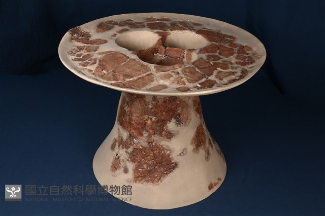 連杯形器藏品圖，第4張