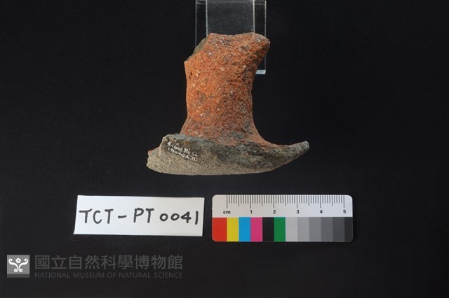 陶蓋鈕藏品圖，第4張