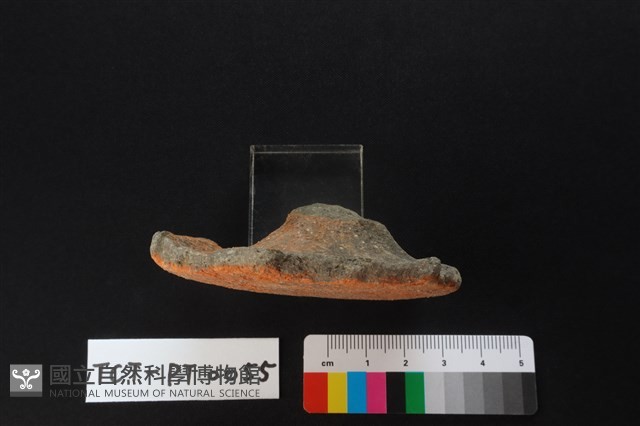 陶蓋鈕藏品圖，第4張